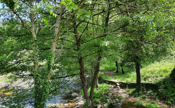 Photo Exposition "Le chemin des peintres"