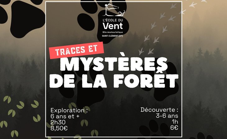 Photo Traces & mystères de la forêt