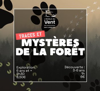 Photo Traces & mystères de la forêt
