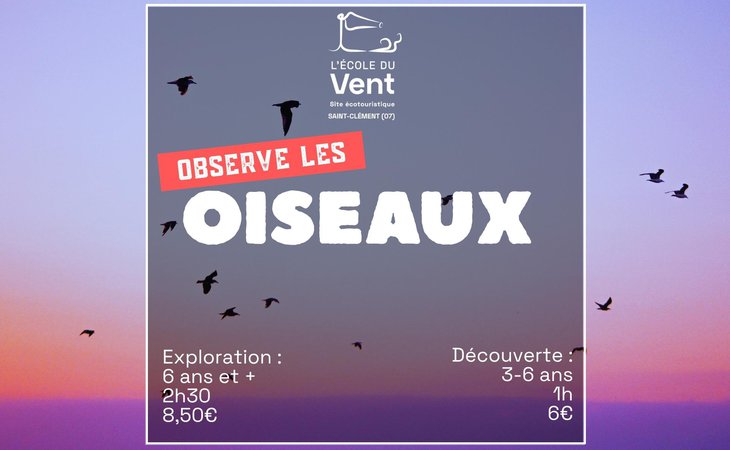 Photo Observe les oiseaux - Exploration