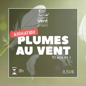 Plumes au vent