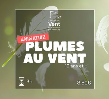 Photo Plumes au vent