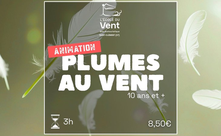 Photo Plumes au vent