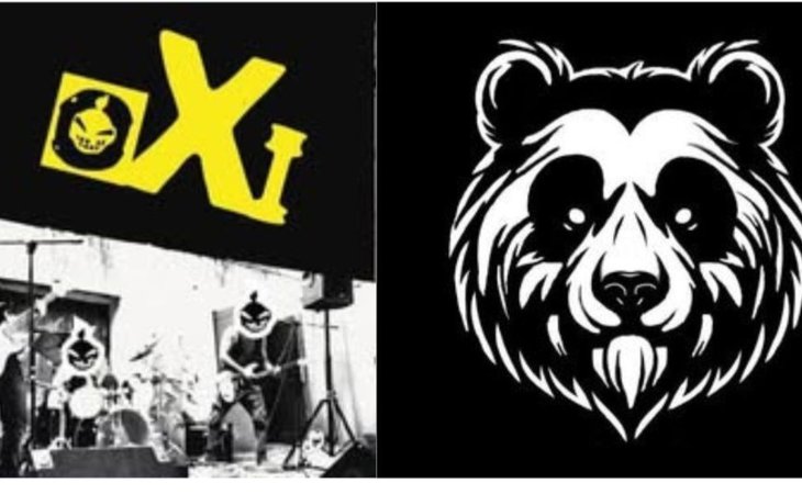 Photo Concert Punk Rock avec oXi & Pandi Panda
