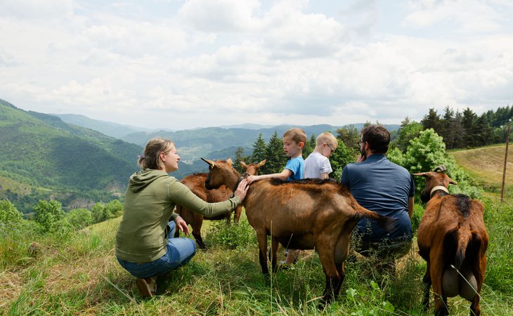 Photo Visite de la chèvrerie - Les Échappées Estivales®