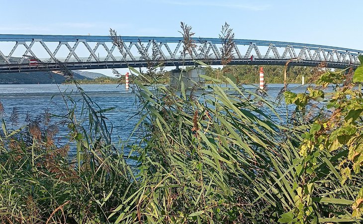 Photo Visite-découverte "Le Pouzin, une histoire de ponts"