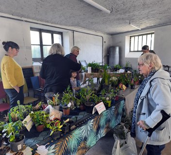 Photo Plant Swap