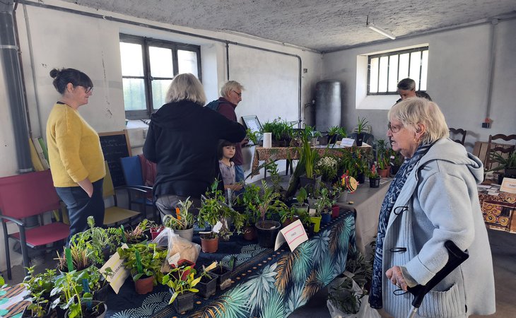 Photo Plant Swap