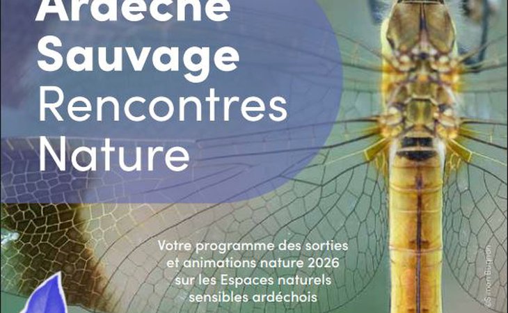 Photo Spectacle "Le sonneur à ventre jaune, ou la démocratie au secours du vivant"