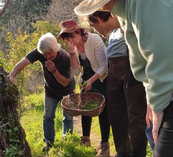 Photo Journée Ardèche Nature : Balade Nature "Dans la peau de l'herboriste"