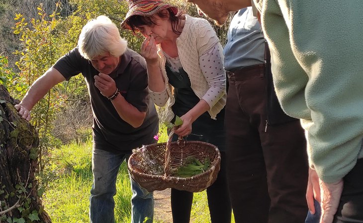 Photo Journée Ardèche Nature : Balade Nature "Dans la peau de l'herboriste"