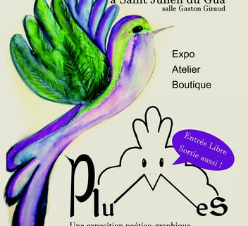 Photo Exposition : Plumes