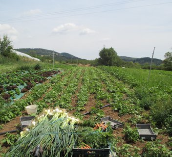 La Ferme du Mont