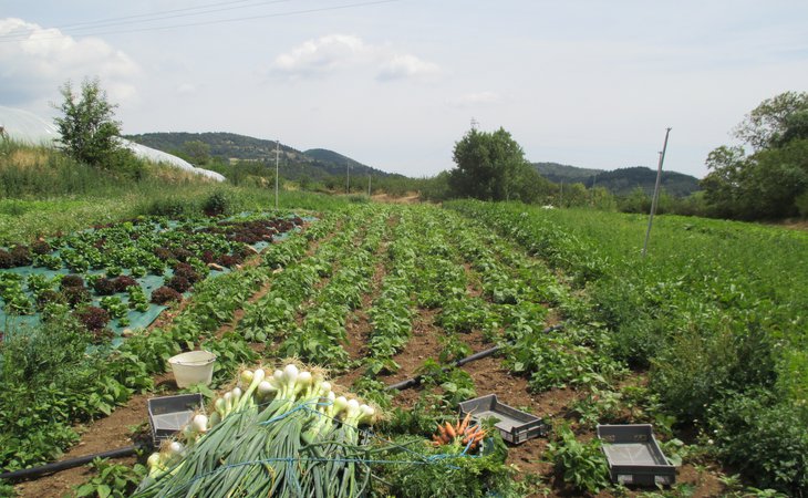 Photo La Ferme du Mont