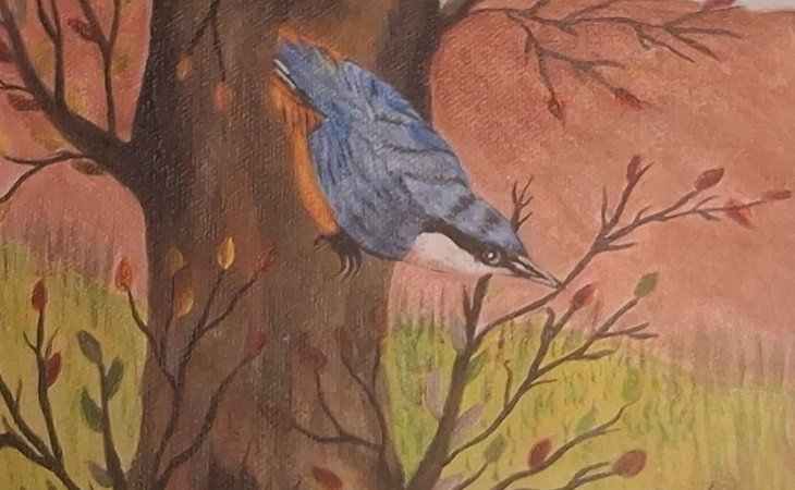 Photo EXPOSITION BIODIVERSITE