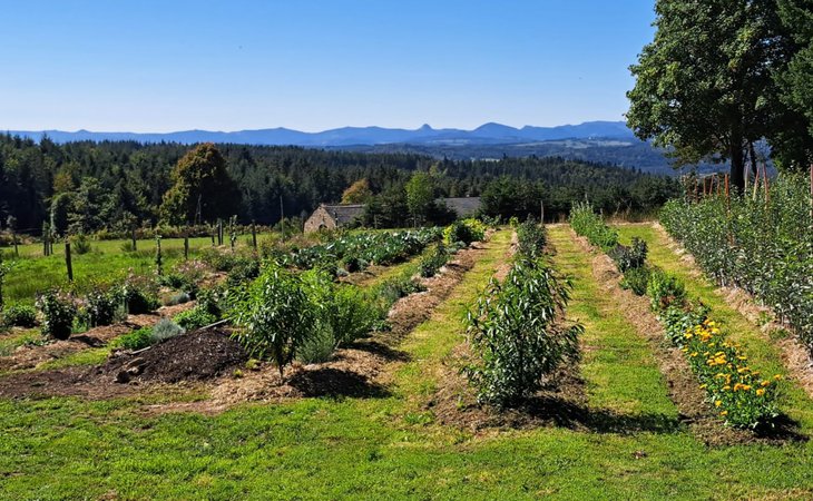 Photo Visite à la ferme : Les Jardins de Badel - L'Automnal gourmand