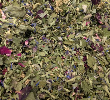 Photo Atelier "secrets de plantes à tisanes" - L'Automnal gourmand