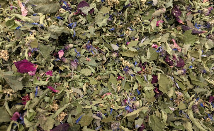 Photo Atelier "secrets de plantes à tisanes" - L'Automnal gourmand