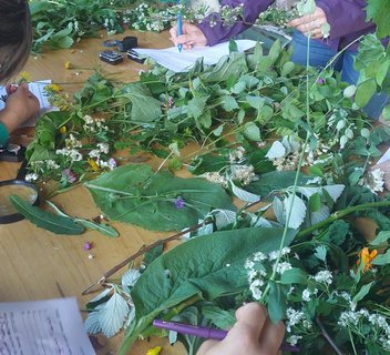 Photo Balades gourmandes à la découverte des plantes sauvages - L'Automnal gourmand
