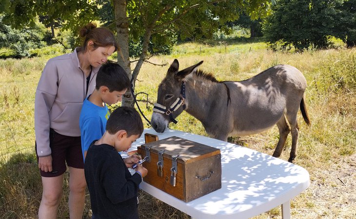 Photo Chasse au trésor avec un âne et goûter gourmand - L'Automnal gourmand