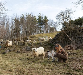 Photo Exposition « sur un Plateau » de Lena Durr