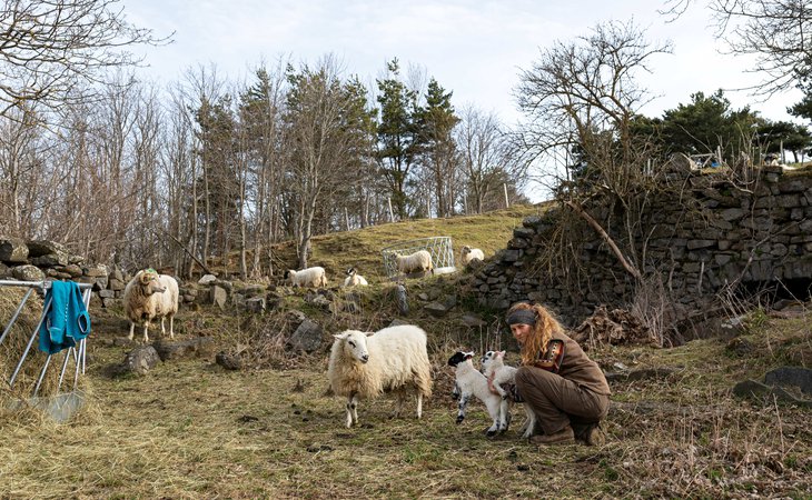 Photo Exposition « sur un Plateau » de Lena Durr