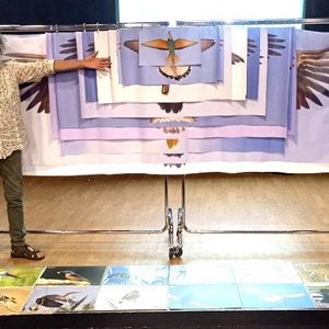 Atelier exposition commentée « les oiseaux planeurs»