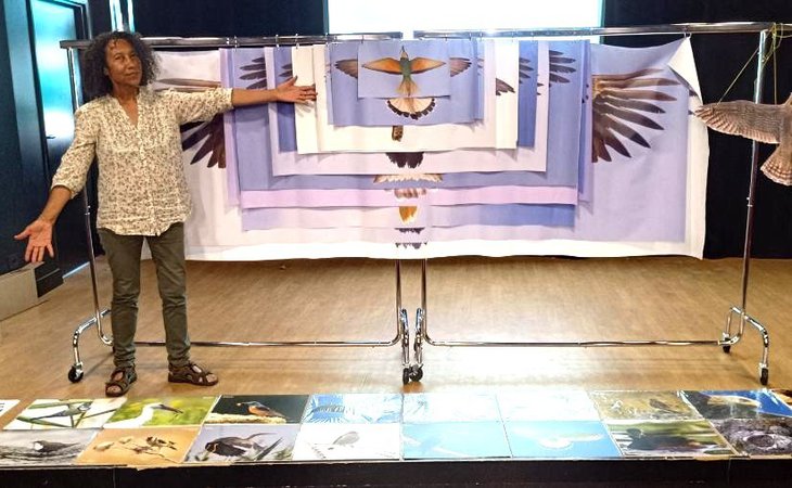Photo Atelier exposition commentée « les oiseaux planeurs»