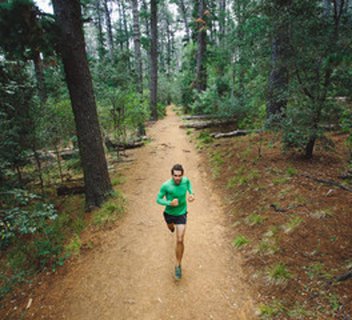 L'Albouret Trail