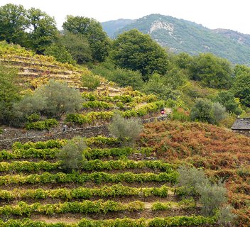 Sentier thématique du Talaron (De Pont de Chervil au Col des Fourches)