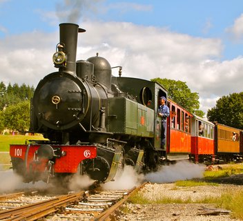 Photo Le Train des Champignons – Une escapade au cœur de la forêt ! - L'Automnal gourmand