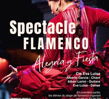 Photo Spectacle de danse flamenco "Alegria y Fiesta"
