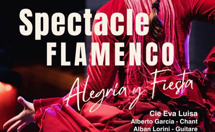 Photo Spectacle de danse flamenco "Alegria y Fiesta"