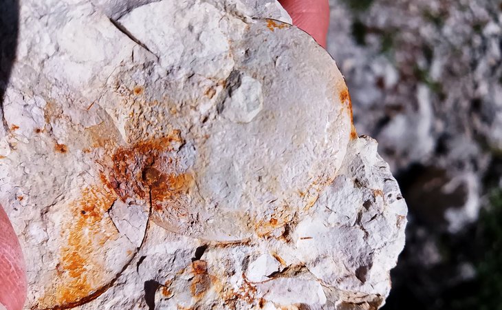 Photo Excursion géologique "La géologie autour de Vernoux-en-Vivarais : les différents types de roches" | durée 4h