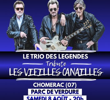 Photo Concert : Le Trio des Légendes - Tribute les Vielles Canailles