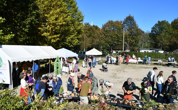 Photo Marché de producteurs et lecture/concert - Castagnades des Monts d'Ardèche/L'Automnard Gourmand®