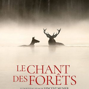 Privas Photo Festival - Projection cinéma du film "Le chant des forêts"
