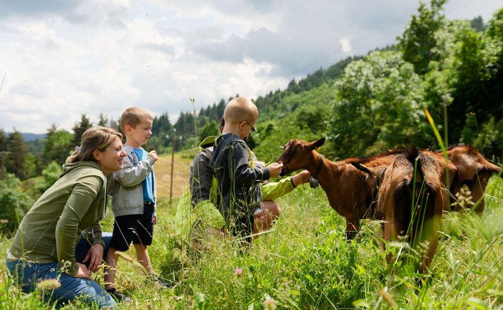 Photo ERREUR DE PROGRAMMATION - Du pré à l’assiette : les secrets du Picodon AOP - Fête de la Science