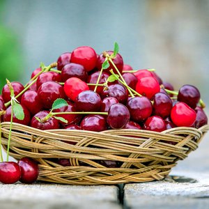 Fête de la Cerise