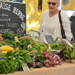 Marché du terroir