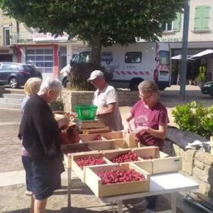Marché des producteurs locaux