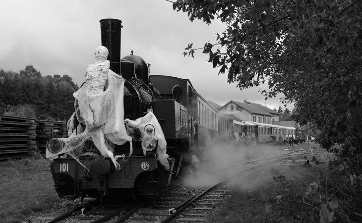 Photo Le Train Halloween