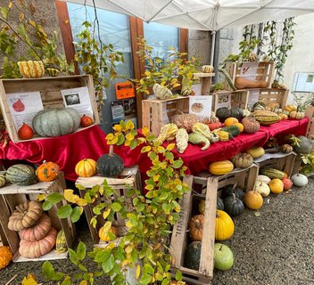 Photo Fête de la courge - L'Automnal gourmand