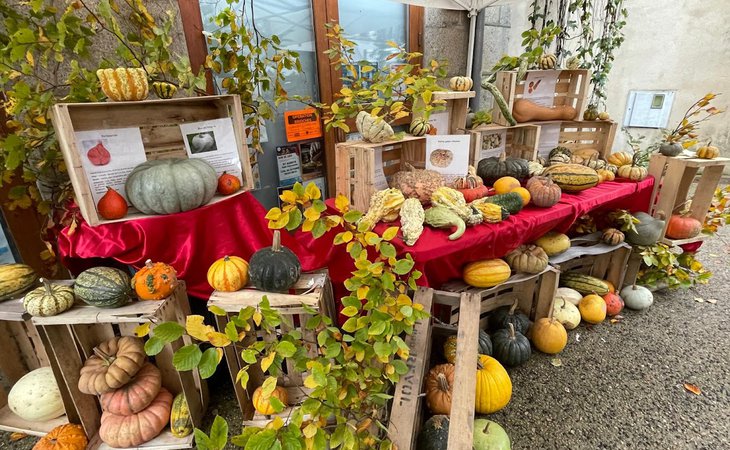 Photo Fête de la courge - L'Automnal gourmand