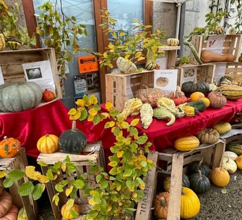 Photo Fête de la courge - L'Automnal gourmand/Fête de la Science