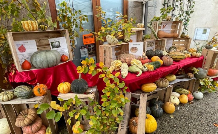 Photo Fête de la courge - L'Automnal gourmand/Fête de la Science