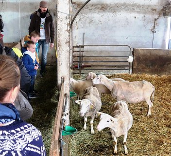 Photo De Ferme en Ferme ® : visite du GAEC de Samarie (Mademoiselle Châtaigne)