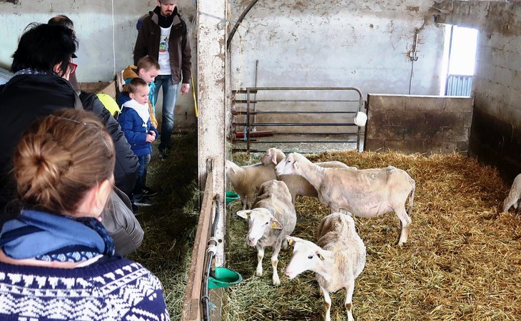 Photo De Ferme en Ferme ® : visite du GAEC de Samarie (Mademoiselle Châtaigne)