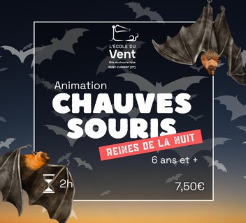 Photo Chauve-souris, reines de la nuit