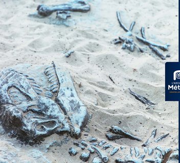 Photo L'Arche des métiers: Sur les traces de Dino